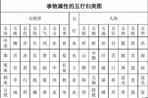 菲字五行|菲字的五行属性是什么